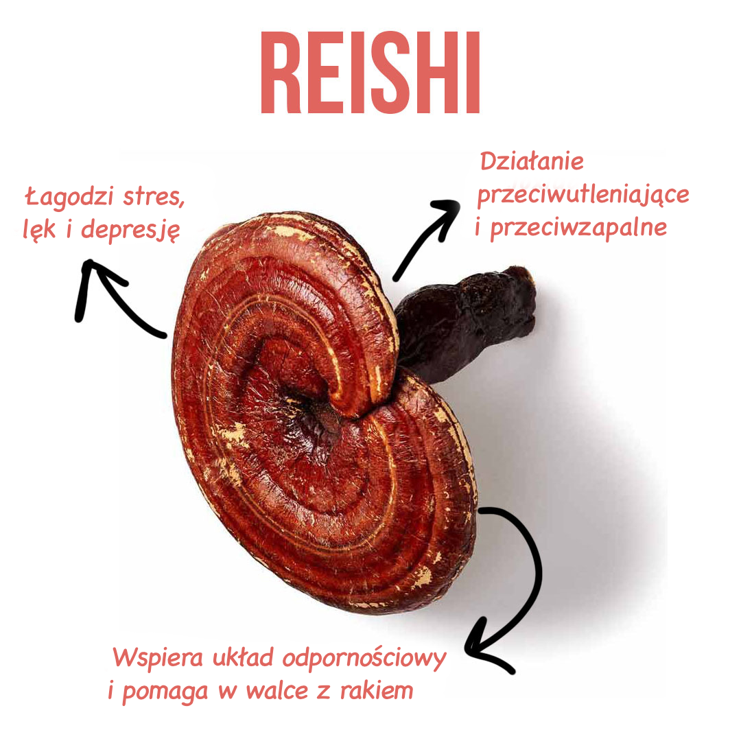 reishi-infografika-brainmarket_pl